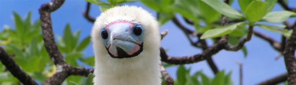 He spoke… and it was so