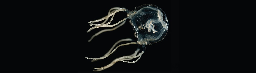 He spoke… and it was so