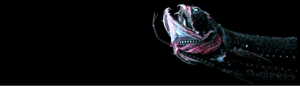 He spoke… and it was so