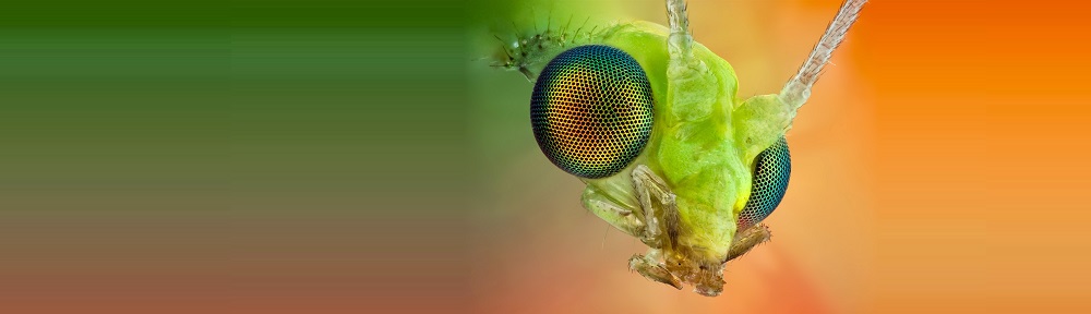 He spoke… and it was so