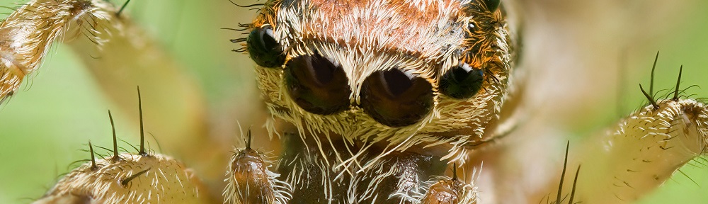 He spoke… and it was so