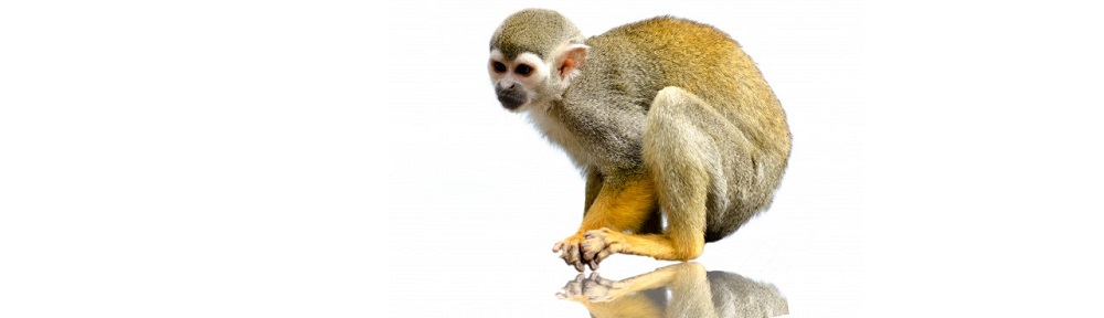 He spoke… and it was so