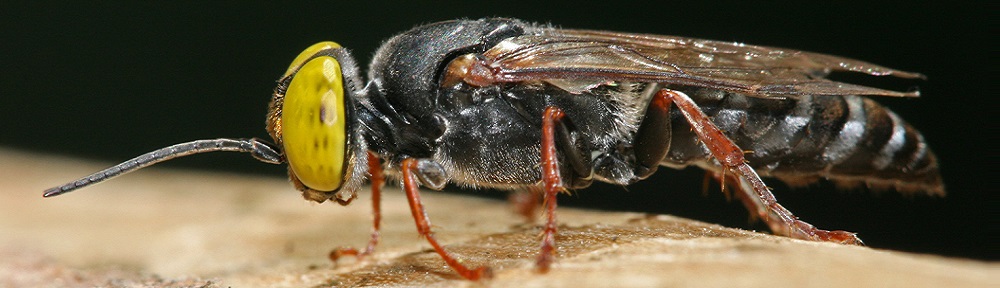 He spoke… and it was so