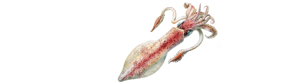 He spoke… and it was so